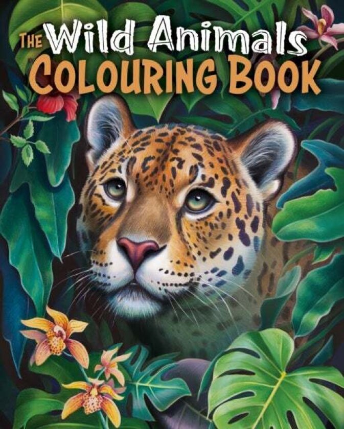 The Wild Animals Colouring Book av Tansy Willow