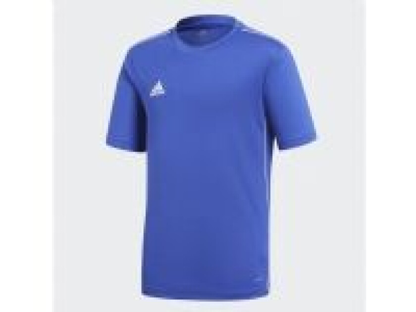 Core 18 Training Jersey, T-skjorte, Barn, Unisex, Blå, Hvit, Korte ermer, Polyester