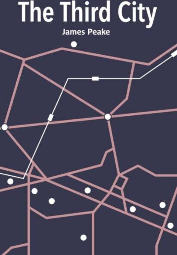 The Third City av James Peake
