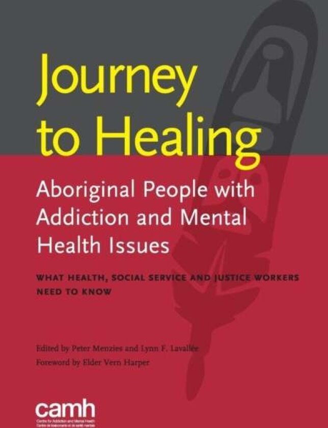 Journey to Healing av Lynn Lavallee, Professor of Philosophy P Menzies