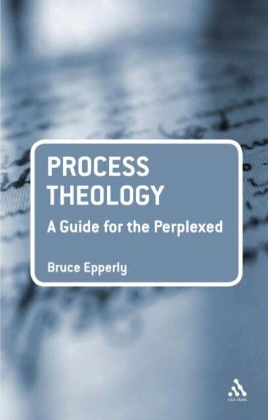 Process Theology: A Guide for the Perplexed av Dr Bruce G. Epperly