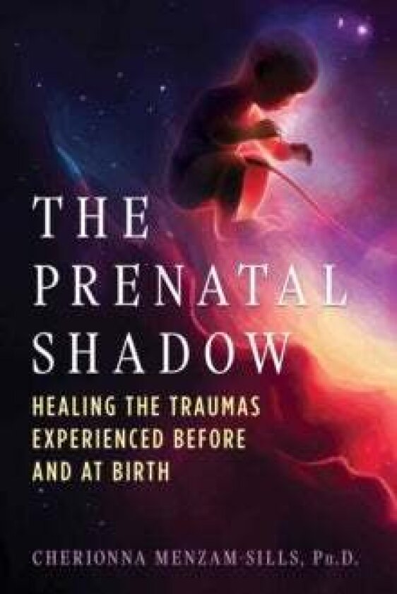 The Prenatal Shadow av Cherionna Menzam-Sills
