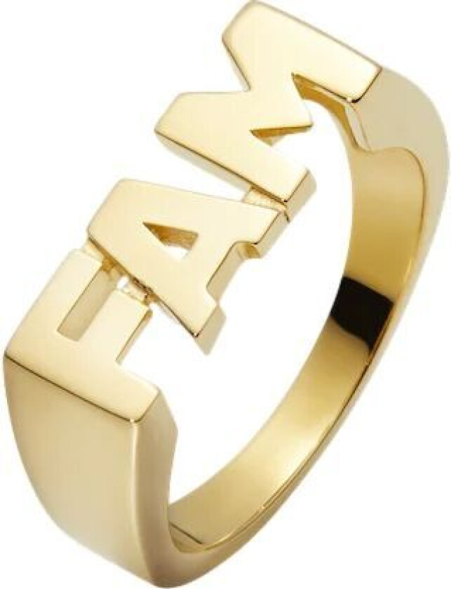 Fam Ring Ring Gull  female 58