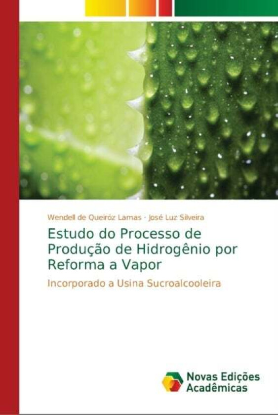 Estudo do Processo de Producao de Hidrogenio por Reforma a Vapor av Wendell de Queiroz Lamas, Jose Luz Silveira