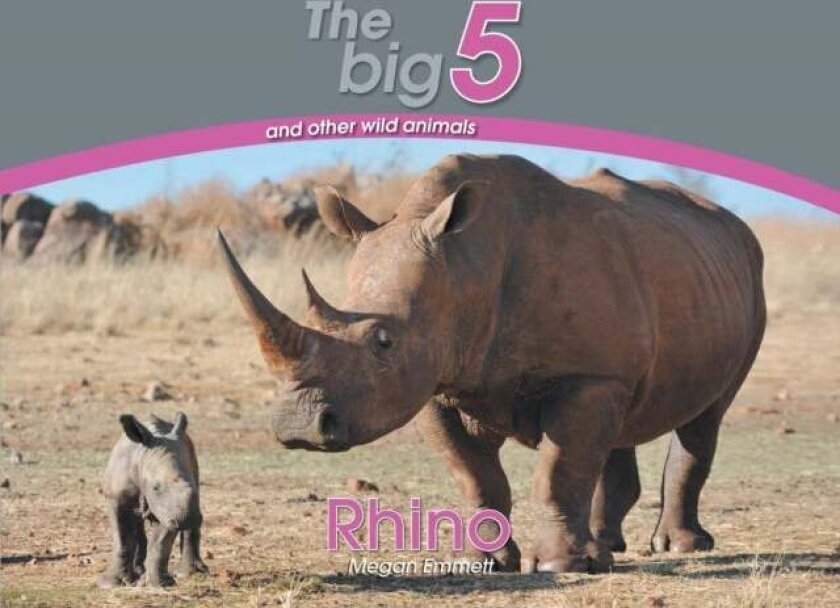 Rhino av Megan Emmett
