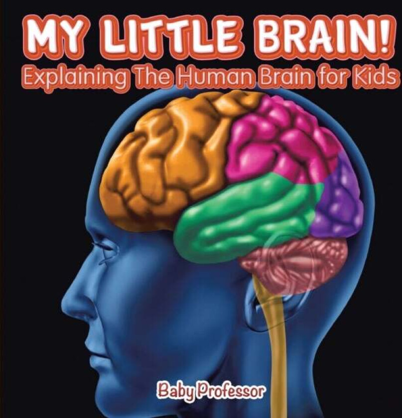 My Little Brain! - Explaining The Human Brain for Kids av Baby Professor