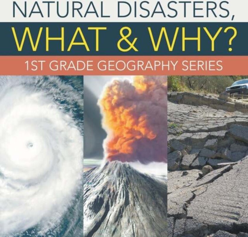 Natural Disasters, What & Why? av Baby Professor