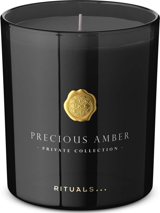 Precious Amber Scented Candle 360 g