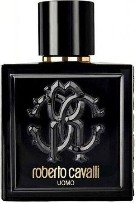 Roberto Cavalli Uomo, Menn, 100 ml, Spray, 1 stykker