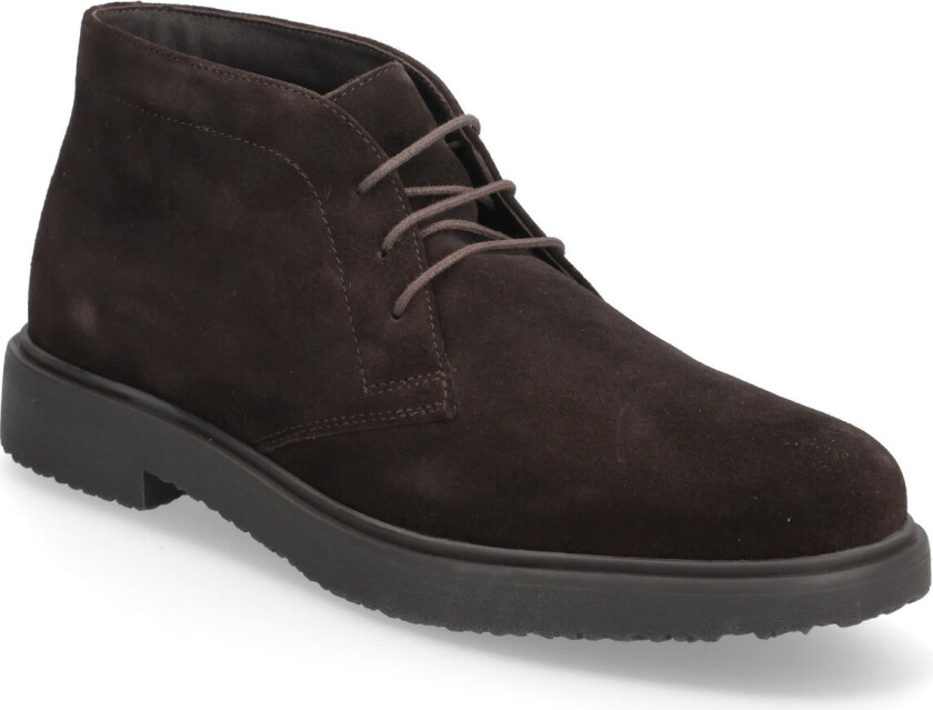 U Massimiano A - Brown - 41