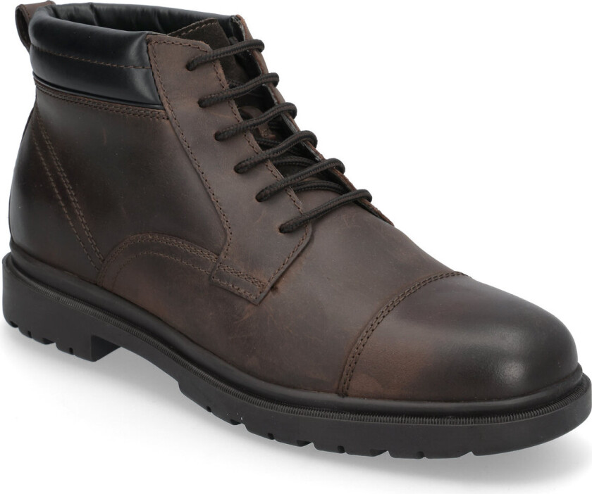 U Andalo A - Brown - 40