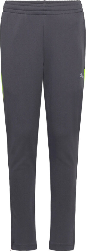 Bilde av Individualliga Training Pants Jr - Grey - 164
