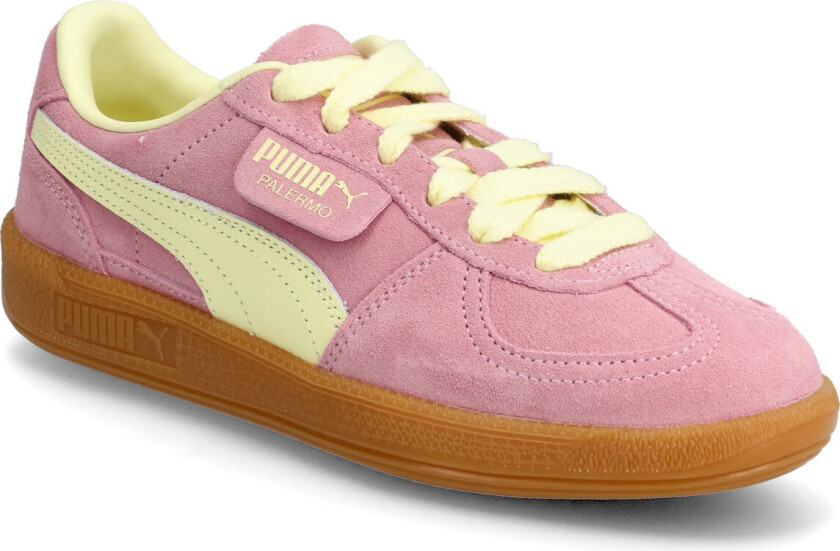 Palermo - Pink - 40.5