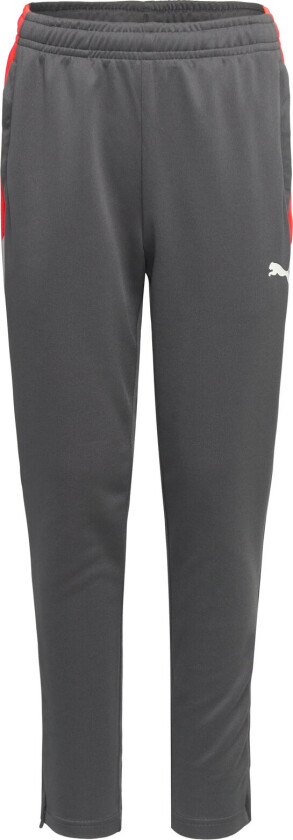 Individualliga Training Pants Jr - Grey - 164