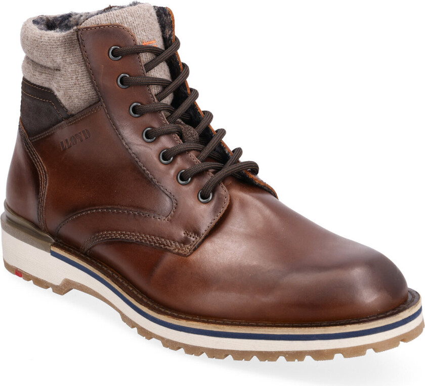 Glenn - Brown - 40.5