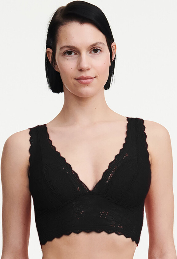 Floral Touch Wirefree Bra - Black - XL