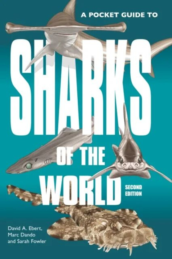 A Pocket Guide to Sharks of the World av Dr. David A. Ebert, Marc Dando, Dr. Sara Fowler