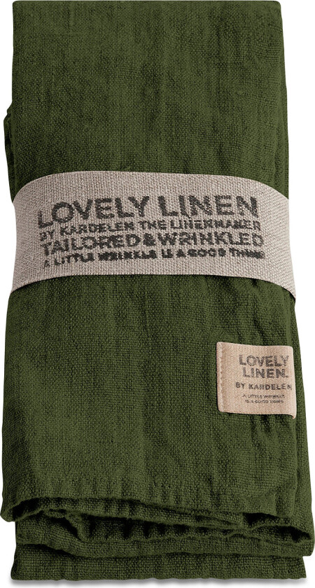 Lovely Napkin (4-Pack) - Green - 45X45