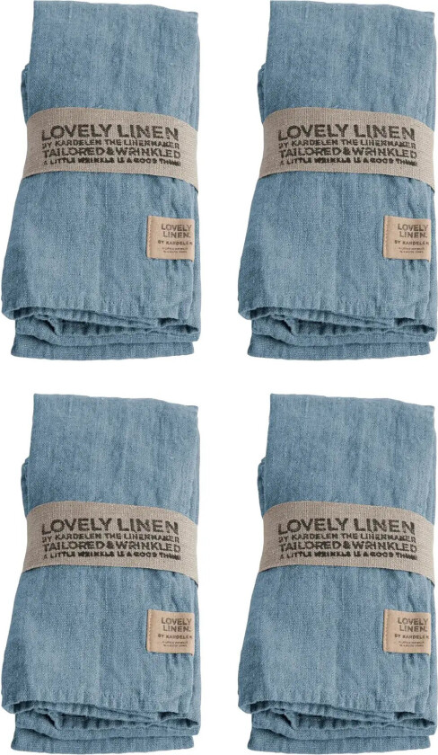 Lovely Napkin (4-Pack) - Blue - 45X45CM