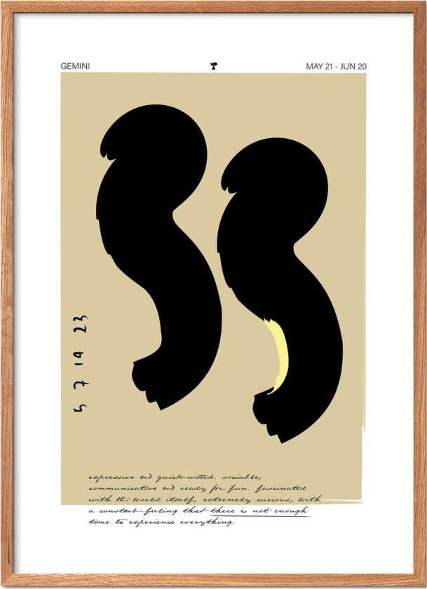 Gemini - Multi/patterned - 50X70CM