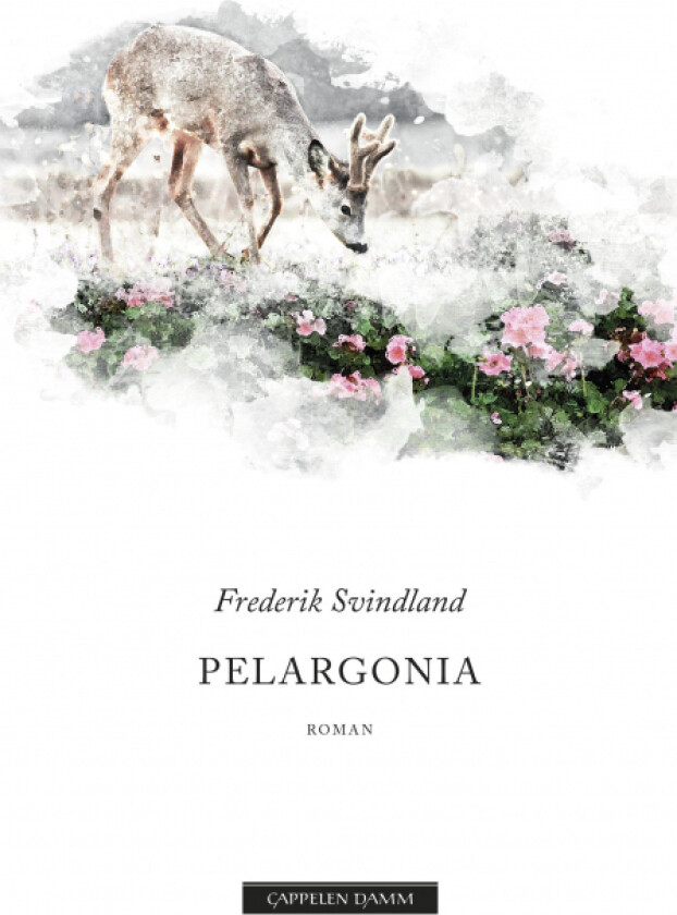 Bilde av Pelargonia av Frederik Svindland