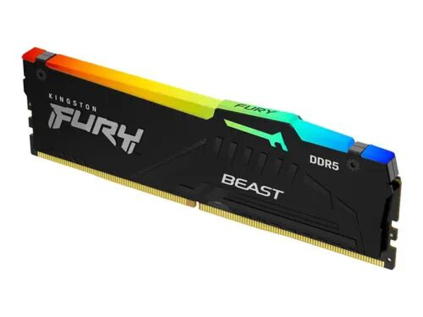 Fury Beast Rgb 16gb 5,600mhz Cl36 Ddr5 Sdram Dimm 288-pin