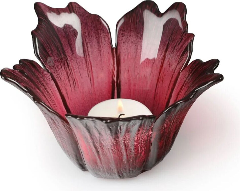 Fleur lyslykt Ø 14 cm rødrosa