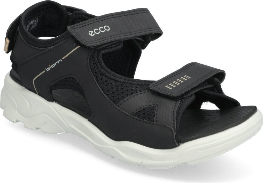 Biom Raft - Black - 40