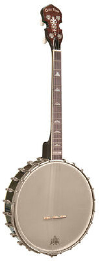 Irish Tenor Banjo 11