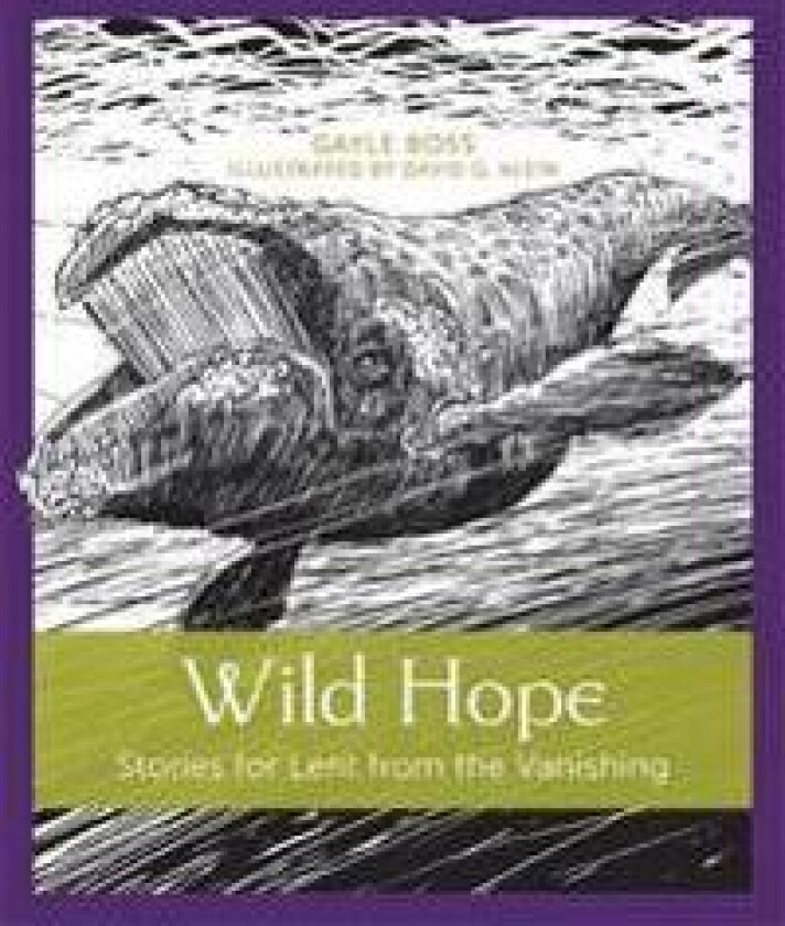 Wild Hope