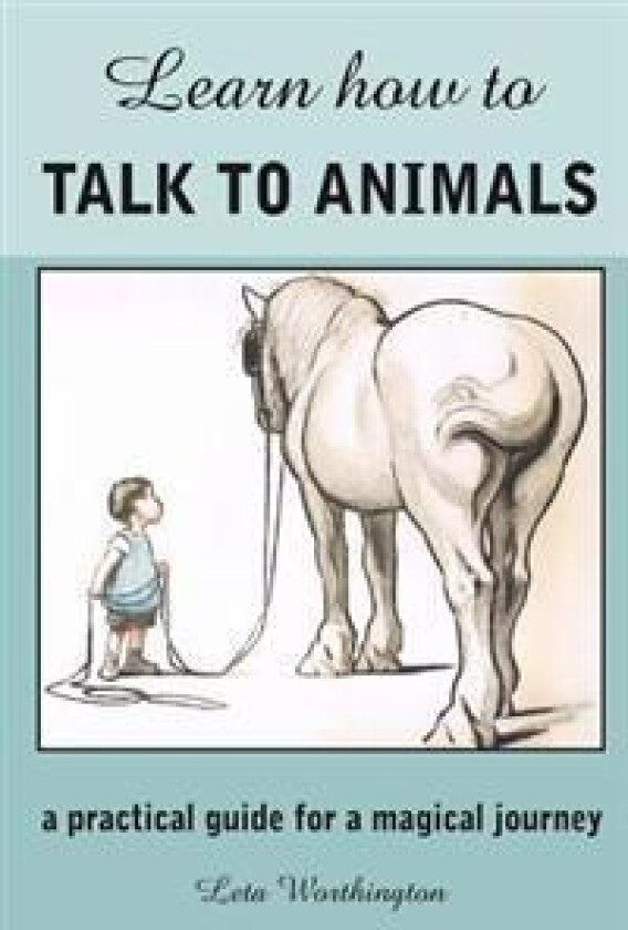 Learn How to Talk to Animals - A Practical Guide for a Magical Journey