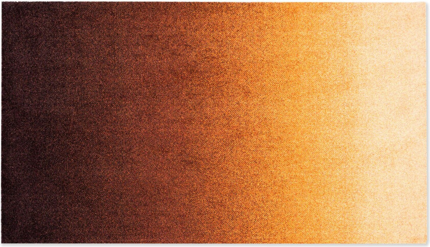 Bilde av Dis Dørmatte Rust 85x150 Cm - Dørmatter Pet Rød - 51124