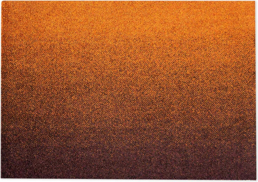 Dis Dørmatte Rust 60x85 Cm - Dørmatter Pet Rød - 51120