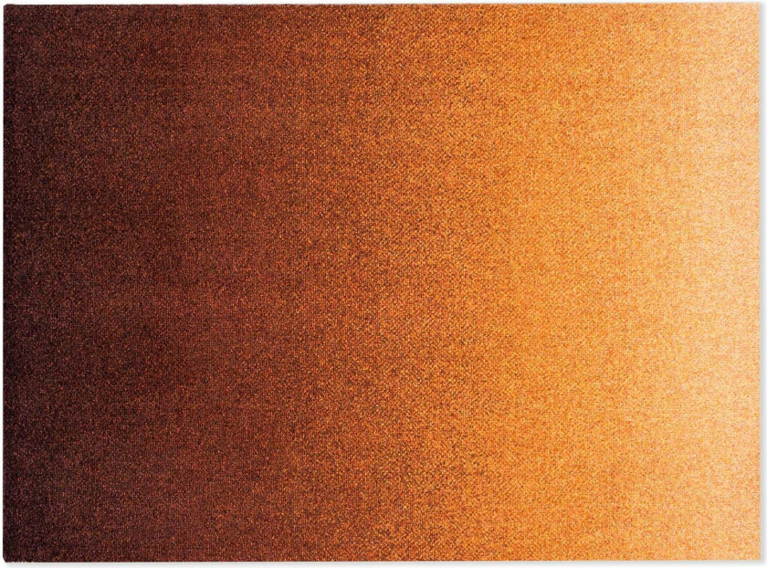 Dis Dørmatte Rust 85x115 Cm - Dørmatter Pet Rød - 51122
