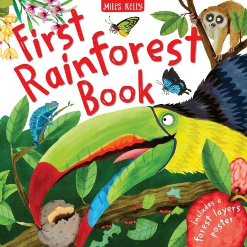 First Rainforest Book av Camilla de la Bedoyere