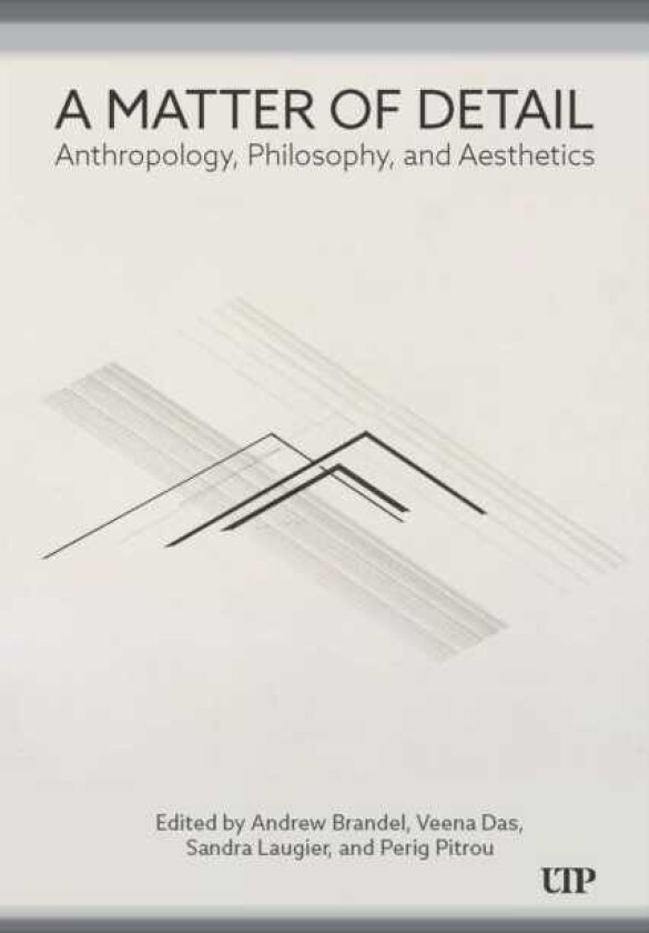A Matter of Detail Anthropology, Philosophy, and Aesthetics