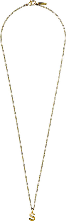 CHARM halskjede med S anheng, gullbelagt