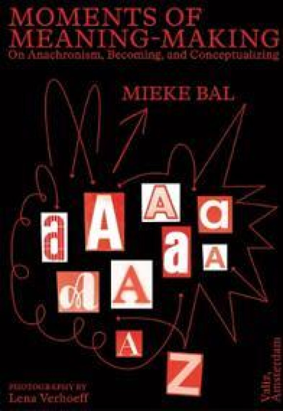 Moments of Meaning-Making