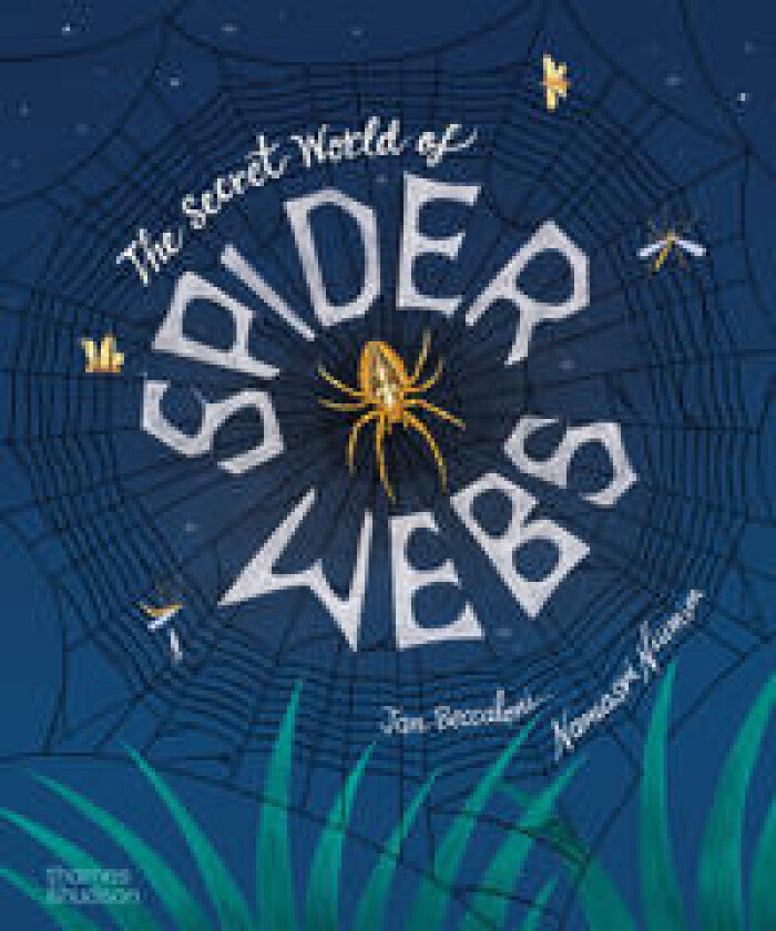 The Secret World of Spider Webs