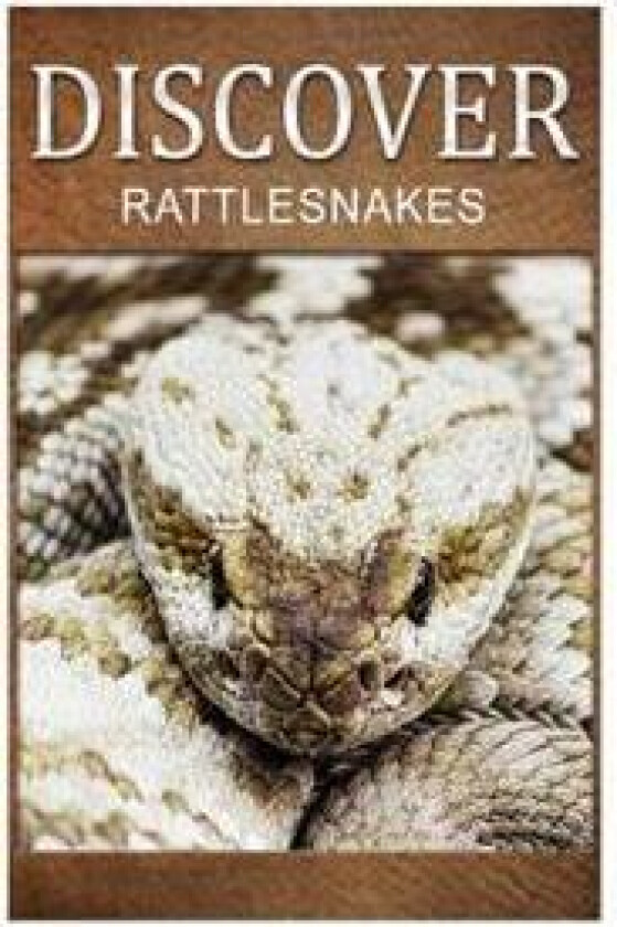 Rattle Snakes - Discover: Early Reader's Wildlife Photography Book