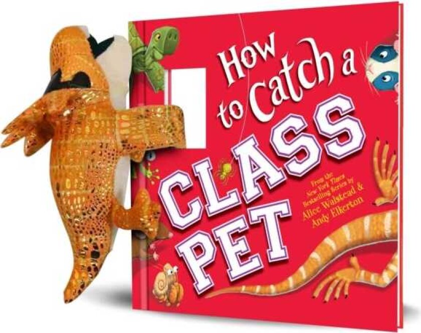 Snap & Snuggle: How to Catch a Class Pet