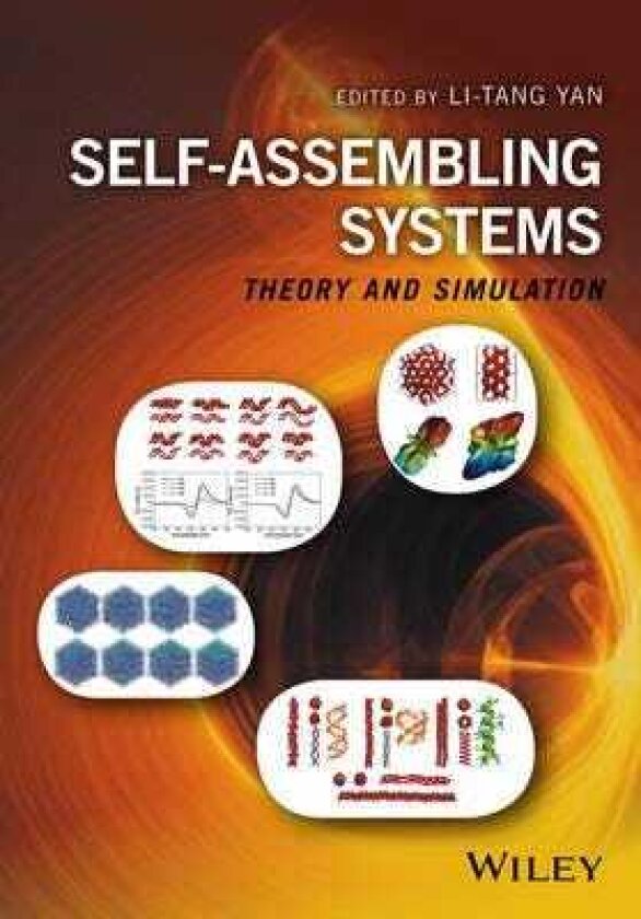 SelfAssembling Systems Theory and Simulation