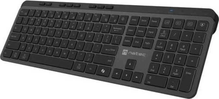 MEDUSA - keyboard full size - QWERTY - US - black grey Input Device - Tastatur - Engelsk (USA) - Grå