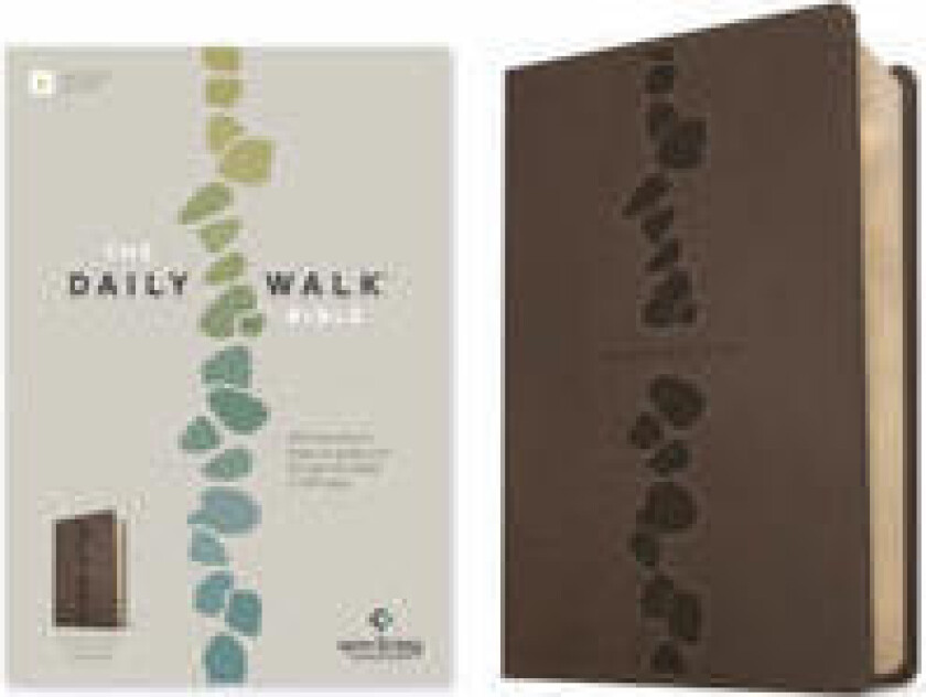 The Daily Walk Bible NLT (Leatherlike, Stepping Stones Dark Taupe, Filament Enabled)