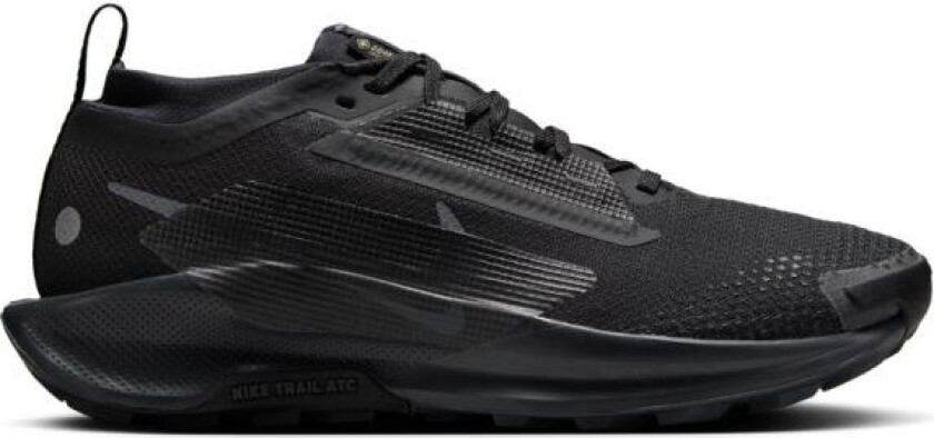 Pegasus Trail 5 Gore-Tex