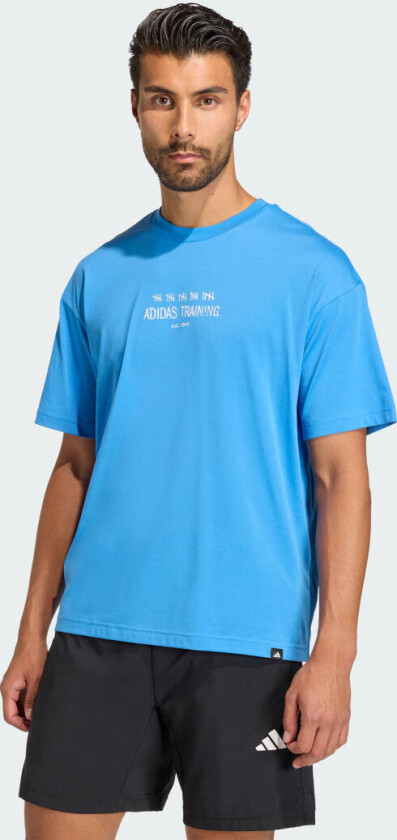 CLIMACOOL POWER TRAINING GRAPHIC T-SKJORTE