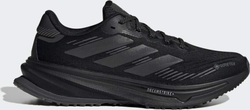 Supernova Rise GTX Running Sko