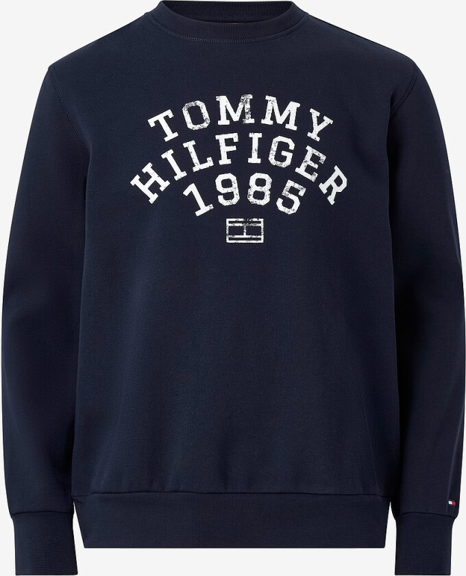 Collegegenser Hilfiger Arch - Blå