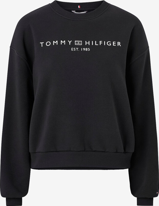 Collegegenser Corp Logo Mdrn - Svart