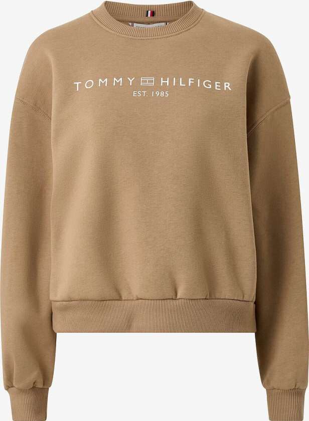 Collegegenser Corp Logo Mdrn - Beige